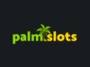 Palmslots Casino Review 2024: How good is it?