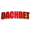 DachBet Casino